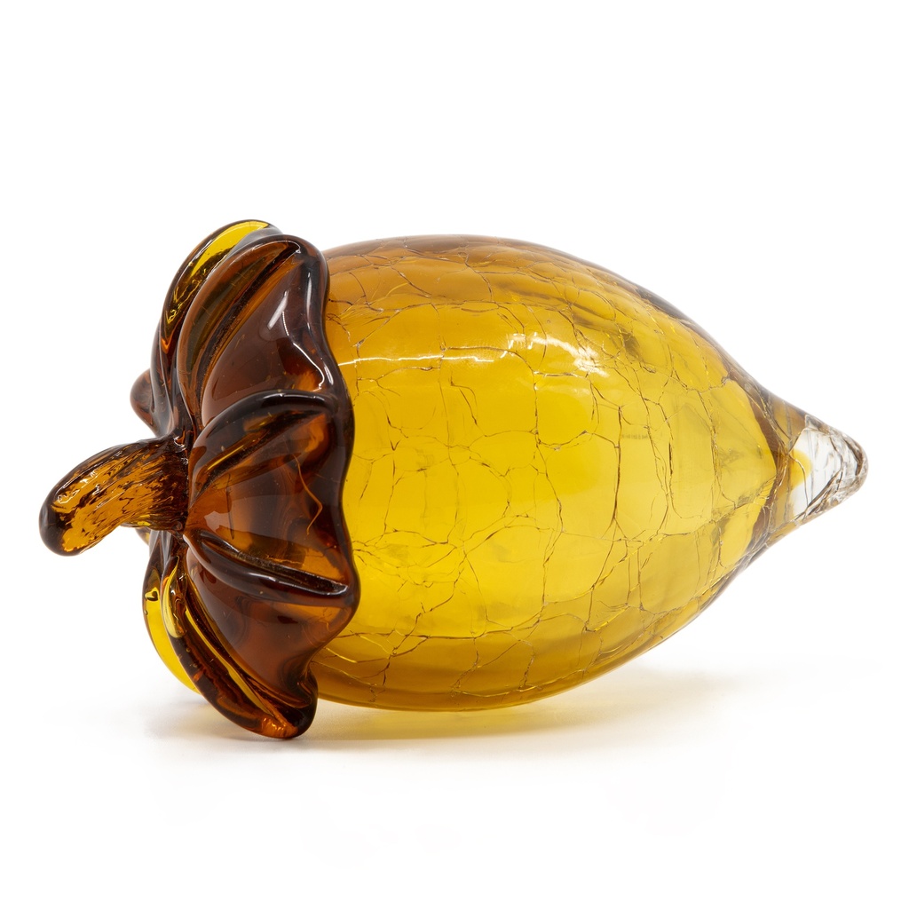 Acorn